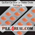 What Is Kamagra Oral Jelly 27